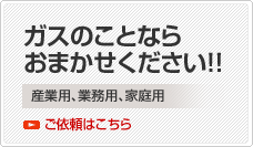 LP�K�X�A�����̔z�B���܂������������I